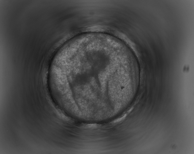 X0000100890153200807220959