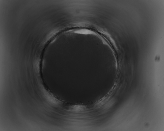 X0000100890154200807220959