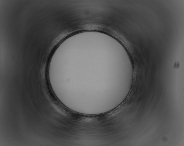 X0000100890155200807220959