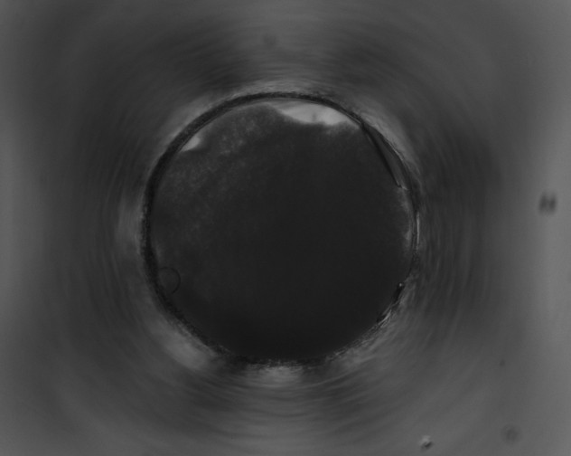 X0000100890156200807220959