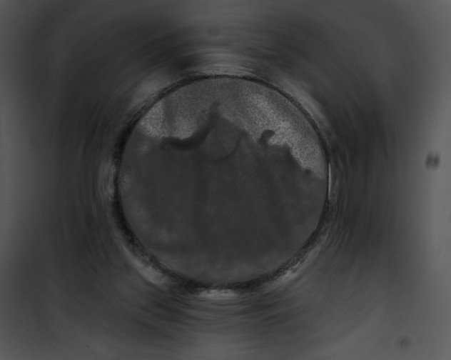 X0000100890157200807220959