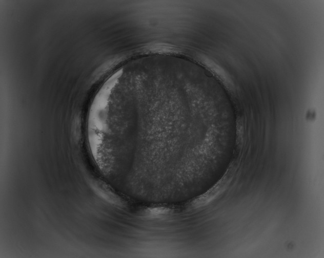 X0000100890158200807220959