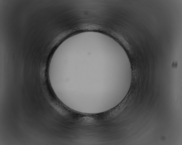 X0000100890159200807220959