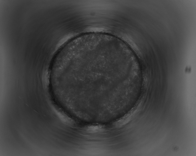 X0000100890160200807220959