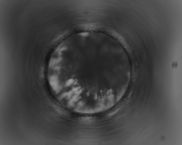 X0000100890161200807220959