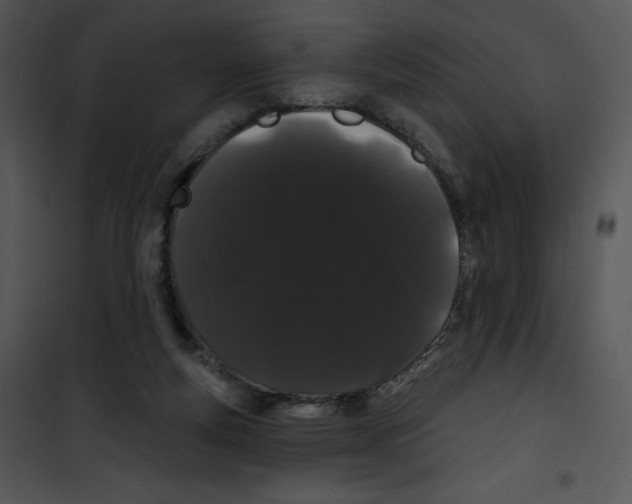 X0000100890163200807220959