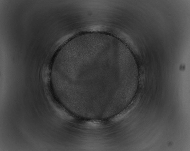 X0000100890164200807220959