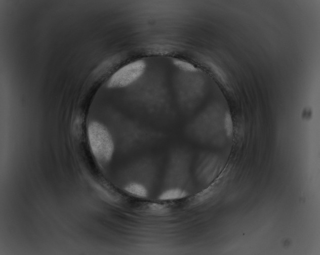 X0000100890166200807220959