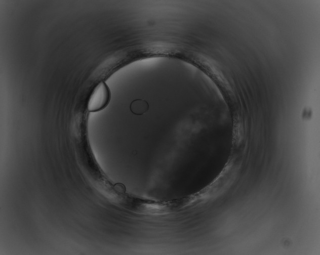 X0000100890167200807221000