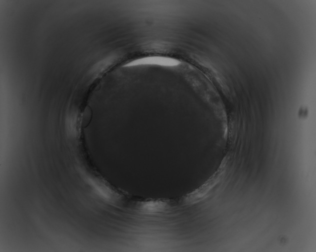 X0000100890168200807221000