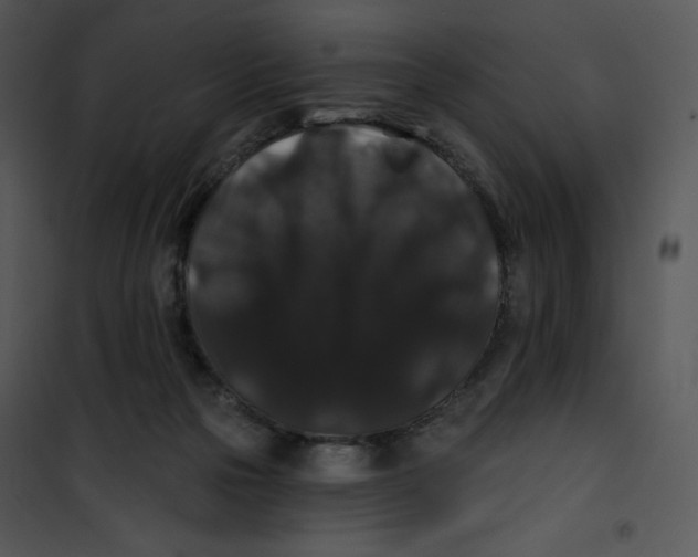 X0000100890169200807221000