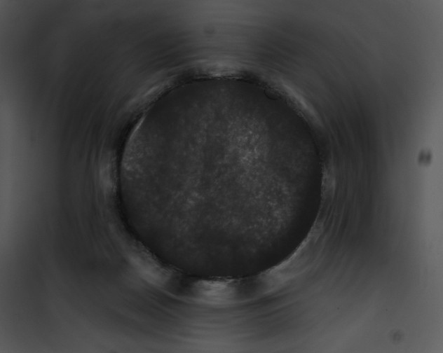 X0000100890170200807221000