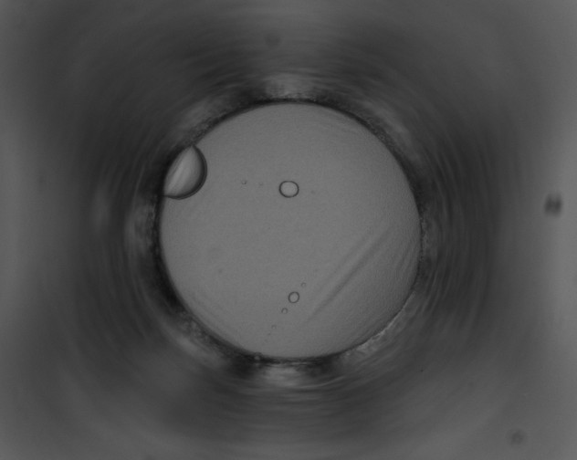 X0000100890171200807221000