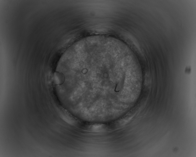 X0000100890173200807221000