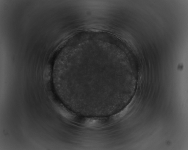 X0000100890174200807221000