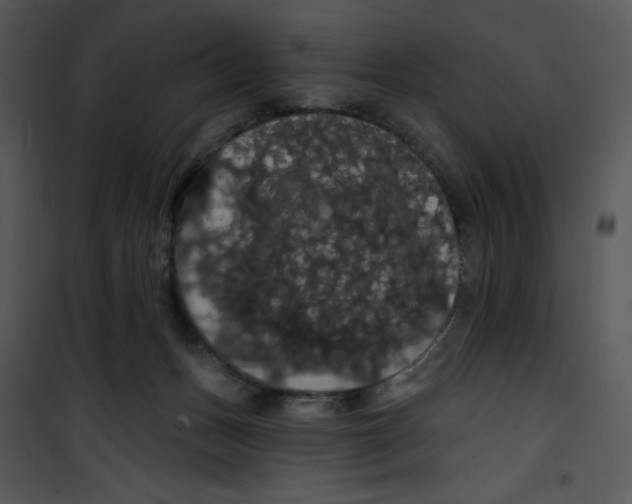 X0000100890175200807221000