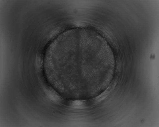 X0000100890176200807221000