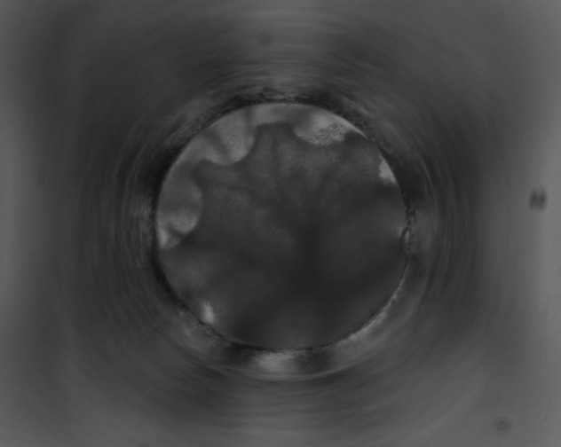 X0000100890178200807221000