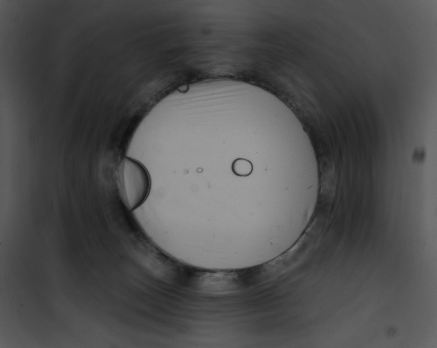 X0000100890179200807221000