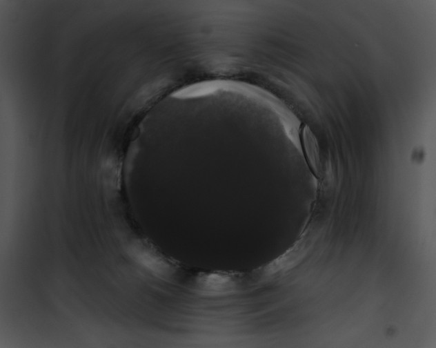 X0000100890180200807221000