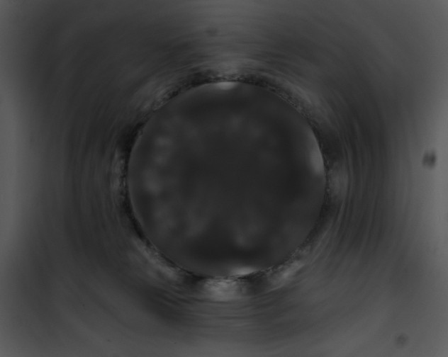 X0000100890181200807221000