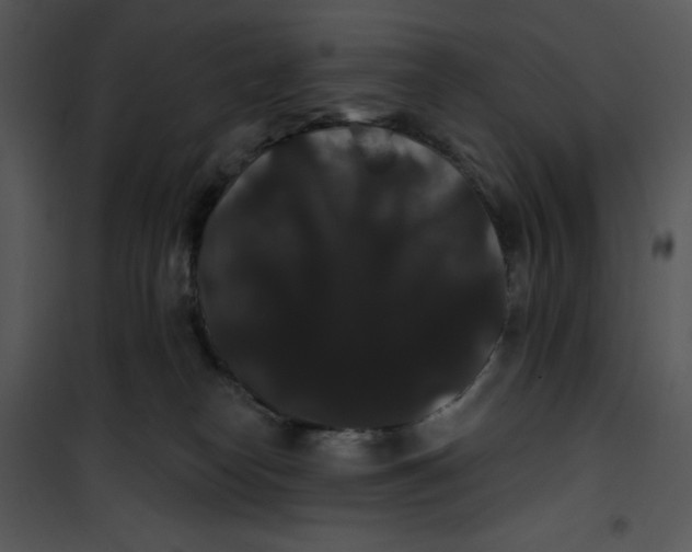 X0000100890182200807221000