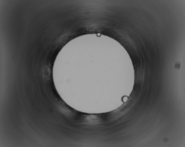 X0000100890183200807221000