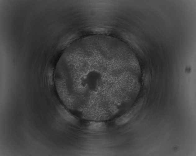 X0000100890185200807221000