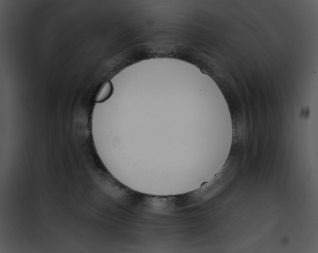 X0000100890187200807221000