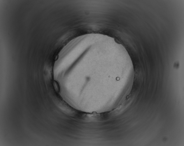 X0000100890188200807221000