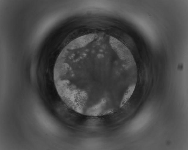 X0000100890189200807221000