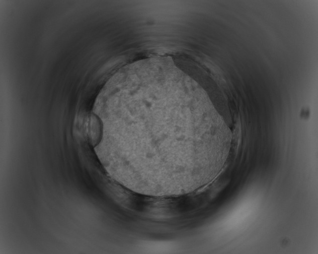 X0000100890191200807221000