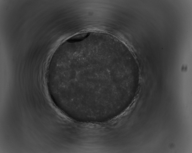 X0000100890193200807220959