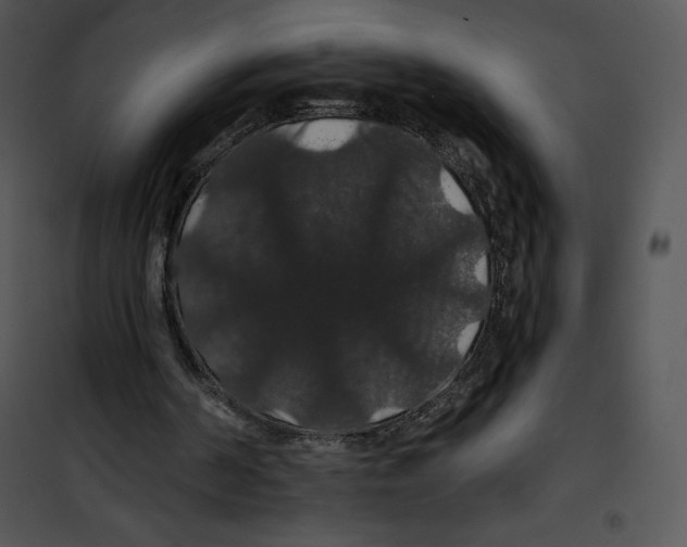 X0000100890194200807220959