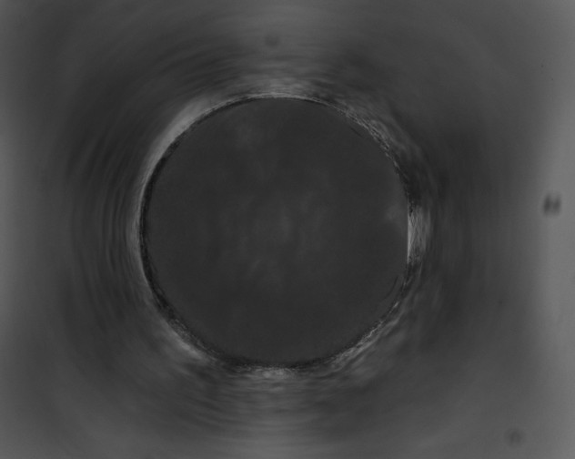 X0000100890195200807220959