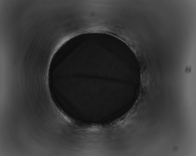 X0000100890196200807220959