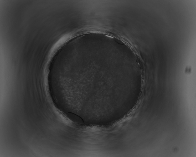 X0000100890197200807220959