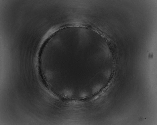 X0000100890198200807220959