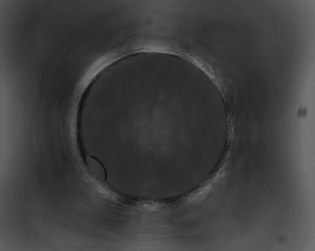 X0000100890199200807220959