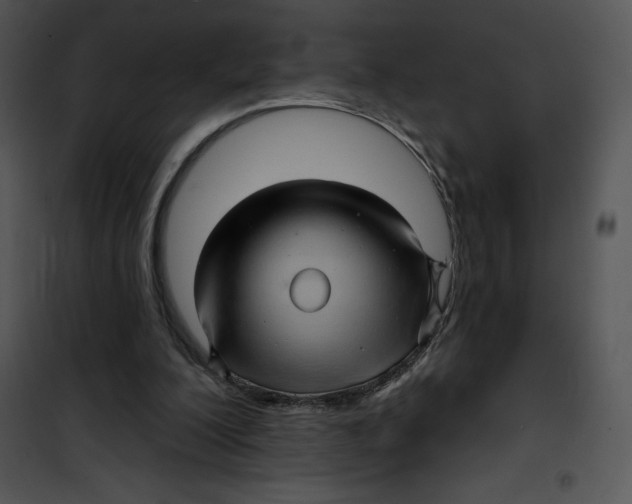 X0000100890200200807220959