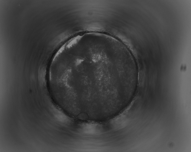 X0000100890201200807220959