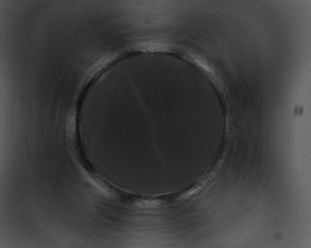 X0000100890202200807220959