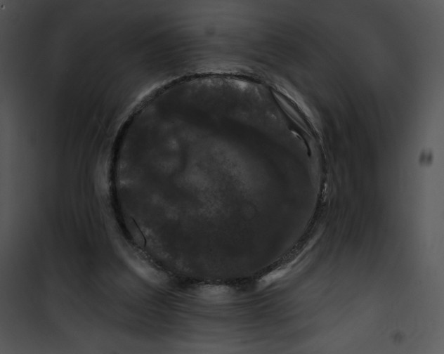 X0000100890203200807220959