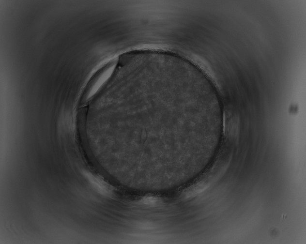 X0000100890204200807220959