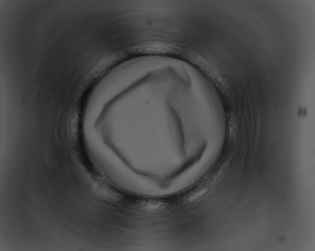 X0000100890206200807220959