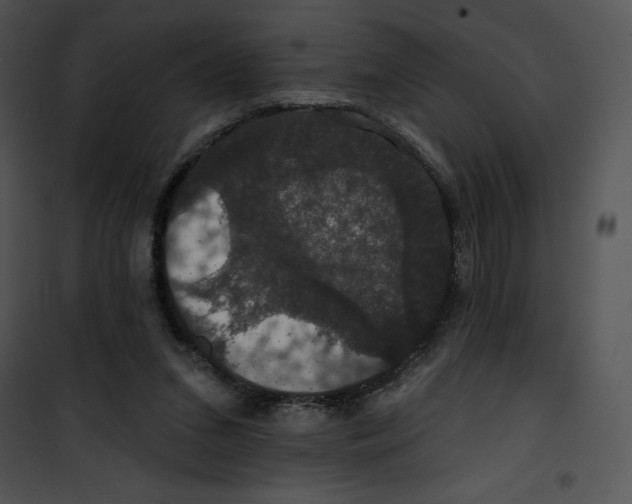 X0000100890207200807220959