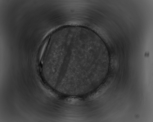 X0000100890208200807220959