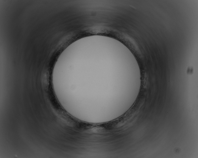 X0000100890210200807220959