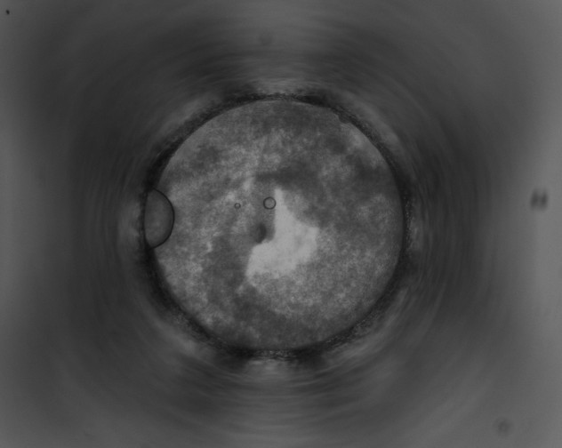 X0000100890211200807220959