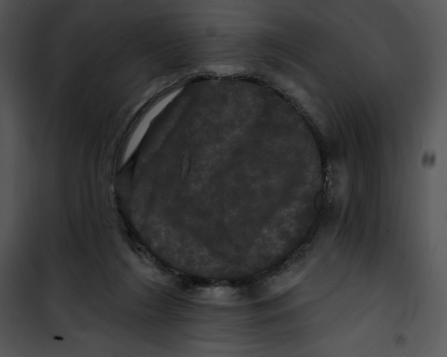 X0000100890212200807220959